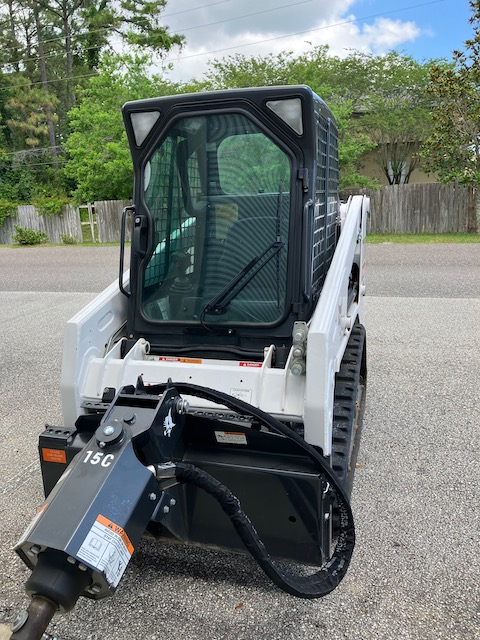 Bobcat