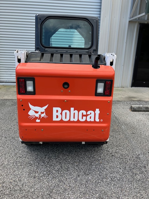 Bobcat